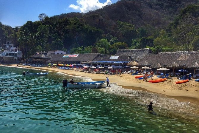 South Shore Private Sightseeing Cruise in Puerto Vallarta - Playa Las Animas: beach time, lunch choices, and what you can do nearby