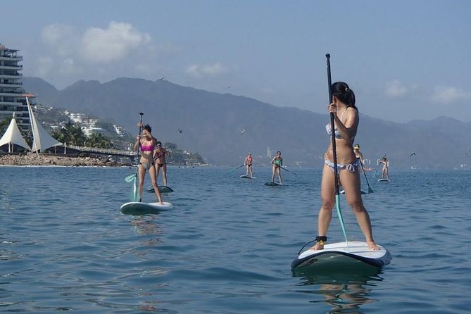 Stand-Up Paddle Board Lesson in Puerto Vallarta - Price and What You Get for $56.72
