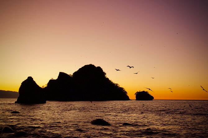 Sunset and Bioluminescence Boat Tour at Los Arcos Islands - Who this tour suits best, and who should think twice