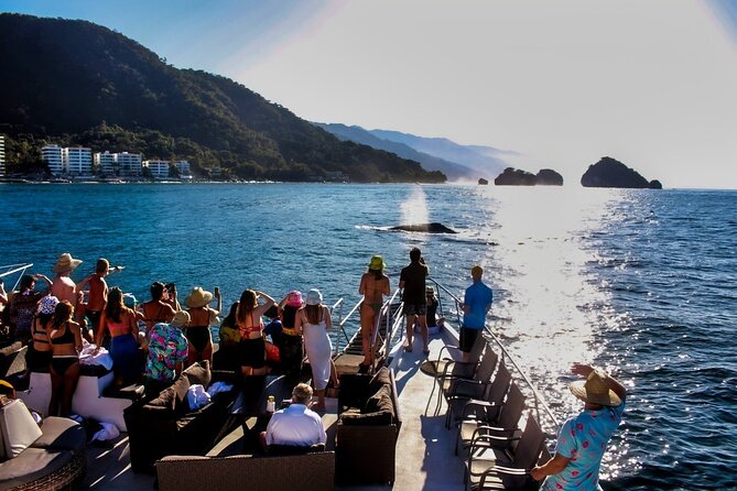 Sunsets and Whales Mega Yachts ALL INCLUSIVE: Puerto Vallarta - Mega yacht comfort and what all-inclusive means at sea