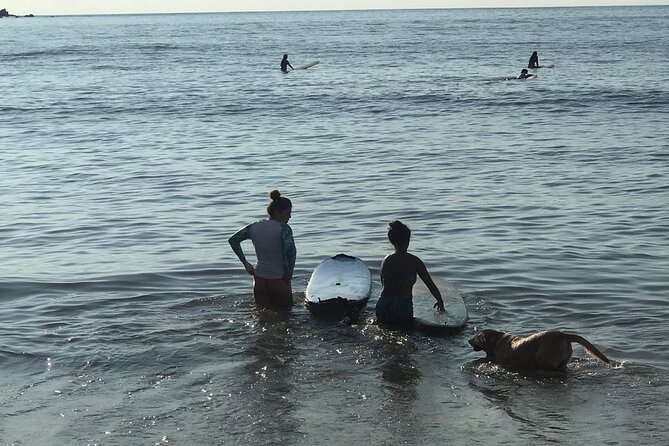 Surf Lesson for Beginners in Sayulita & Punta de Mita - Sustainable social impact in plain terms