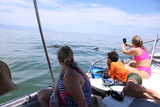 Swim and Paddle Board with Wild Dolphin Pods in Puerto Vallarta - Meeting at Los Muertos Beach Pier, and What the Boat Ride Feels Like