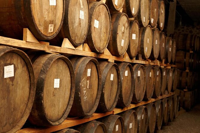 Tequila Jalisco Full Day Tour from Puerto Vallarta - Key highlights to look for