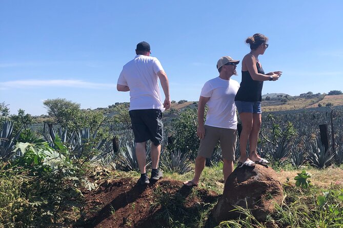 Tequila Jalisco Full Day Tour from Puerto Vallarta - Tequila from Puerto Vallarta, a full day that actually fits