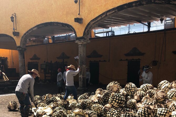 Tequila Jalisco Full Day Tour from Puerto Vallarta - UNESCO agave heritage: 10 minutes that you should treat like 30