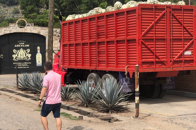 Tequila Jalisco Full Day Tour from Puerto Vallarta - Price and value: what $386.53 is really buying