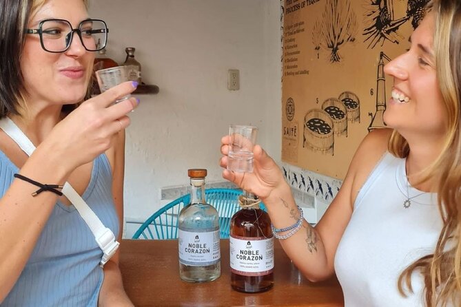 Tequila, Mezcal and Raicilla Tasting - Agave Spirits 101 in Downtown Puerto Vallarta