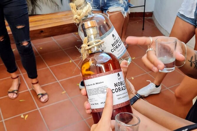 Tequila, Mezcal and Raicilla Tasting - Group Size, Pace, and When to Ask Questions