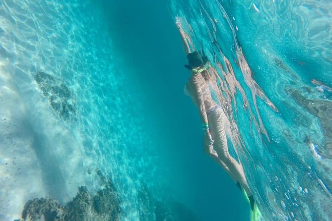 Tour islands Marietas Snorkeling and Nopalera Beach - Marietas Islands in 2 hours: how the plan really flows