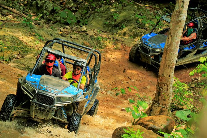 Unique Experience on ATVs or Razer through the Jungle! - Cars, Comfort, and the Small Things That Change Your Day