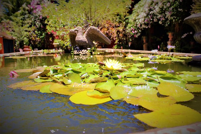 Vallarta Botanical Garden and Tequila Tasting from Puerto Vallarta - Rancho lunch timing: pay-as-you-go, plan around the early afternoon