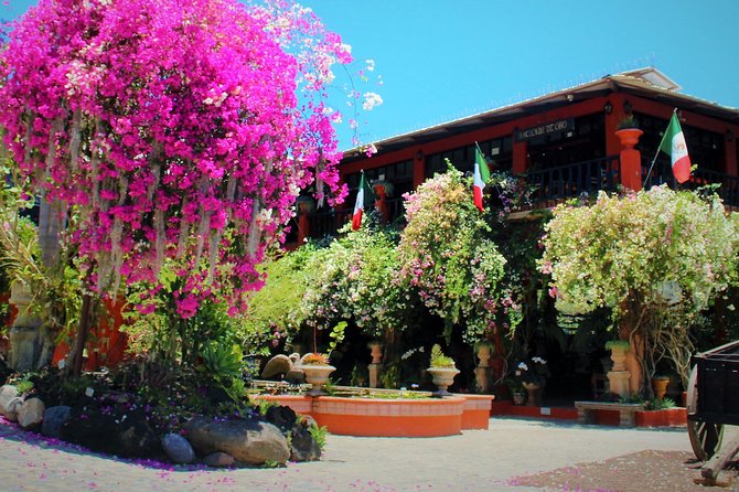 Vallarta Botanical Garden and Tequila Tasting from Puerto Vallarta - Who should book this tour, and who might prefer something else