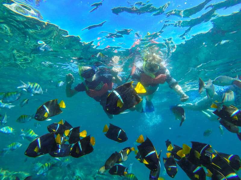 Vallarta: Yelapa Waterfall & Majahuitas Snorkel Adventure - Key highlights I’d circle on your plan
