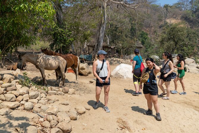 Waterfall in the jungle of Puerto Vallarta - Price and value: is $47.73 a fair deal for this whole day?