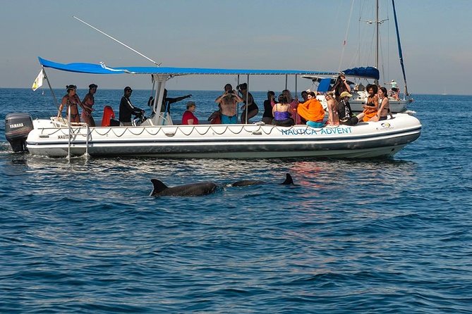 Whale and Dolphin Watching with a Biologist in Puerto Vallarta - Meeting at Opequimar Centro Marino, then a short science warm-up
