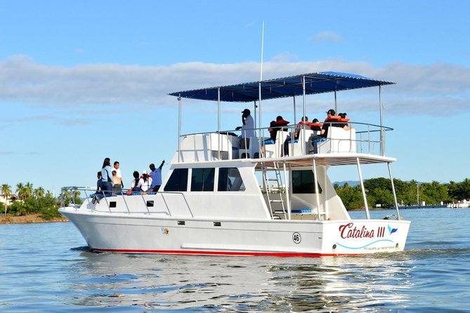 Whale & Dolphin Watching Cruise in Puerto Vallarta All Inclusive - Price and value: is $78.48 a bargain or a risk?