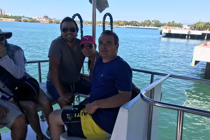 Whale & Dolphin Watching Cruise in Puerto Vallarta All Inclusive - How the humpback and dolphin search really plays out