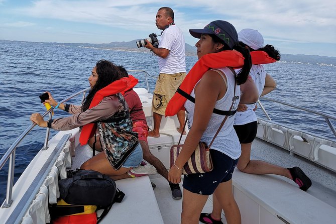 Whale Encounter Puerto Vallarta - The whale behavior lesson part: males, moms, and calves
