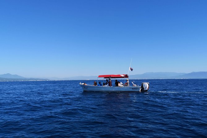 Whale Encounter Puerto Vallarta - What’s included on board, snacks, life vests, and how safety works