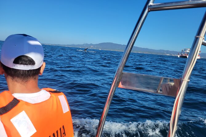 Whale watching 3 hours in Puerto Vallarta - Comfort Tips That Actually Matter: Cold Wind, Warm Layers, and Lifejackets