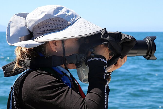 Whale Watching Adventure – Led by a Marine Biologist - The marina boat ride: small-group comfort and quick moves to good spots