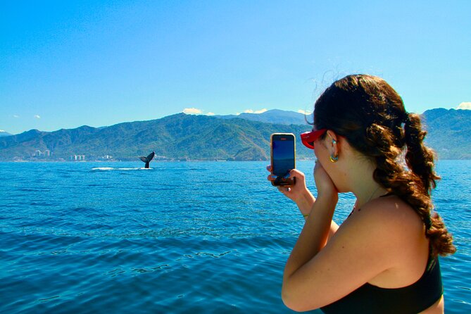 Whale Watching and Los Arcos 5 Islands Adventure - Key highlights before you go