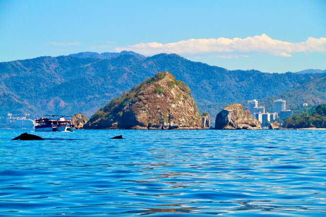 Whale Watching and Los Arcos 5 Islands Adventure - Where you meet, and why Playa Mismaloya sets the tone