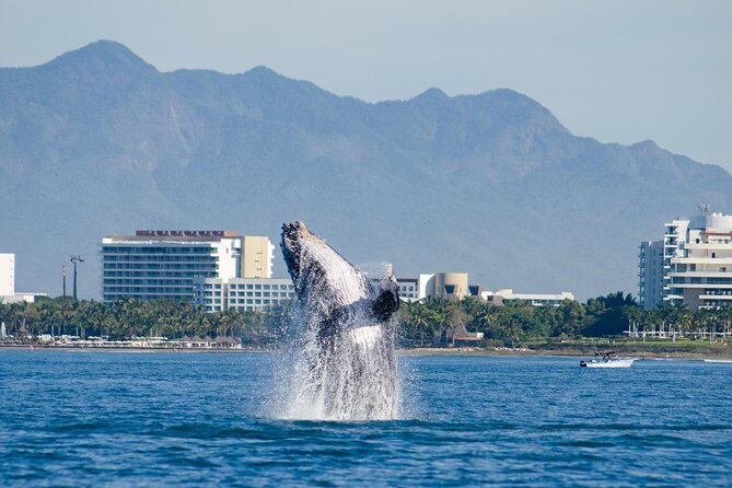 Whale Watching Cruise In Puerto Vallarta & Nuevo Vallarta - Food and drinks: what’s actually included onboard
