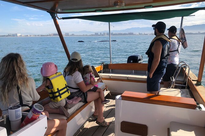 Whale Watching Experience – 4 Hours in Puerto Vallarta - Key highlights you’ll actually care about