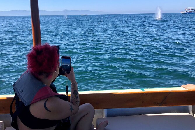 Whale Watching Experience – 4 Hours in Puerto Vallarta - Meet at Marina Los Peines, then head out for 4 hours