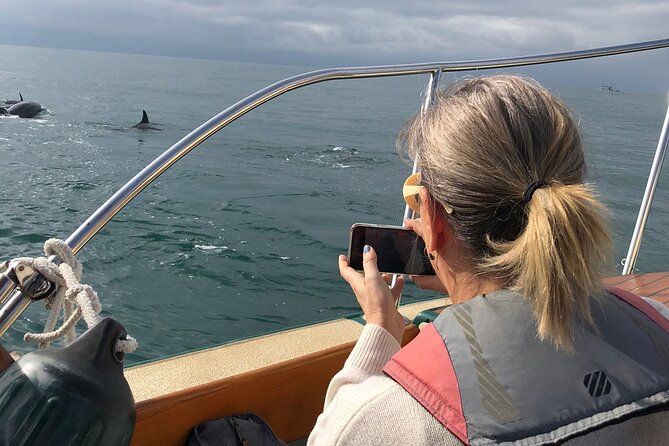 Whale Watching Experience – 4 Hours in Puerto Vallarta - The food and drinks: panini lunch plus a smarter water setup