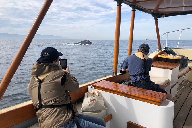 Whale Watching Experience – 4 Hours in Puerto Vallarta - Price and value: is $149.44 worth it?