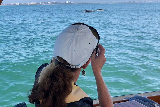 Whale Watching Experience – 4 Hours in Puerto Vallarta - Tips to get better whale sightings and better whale sounds
