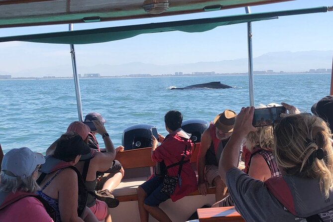 Whale Watching Experience – 4 Hours in Puerto Vallarta - The marine biologist and hydrophone, why this tour is more than sightseeing