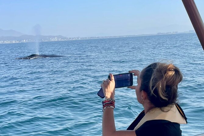 Whale Watching Experience in Puerto Vallarta - Key points to know before you go