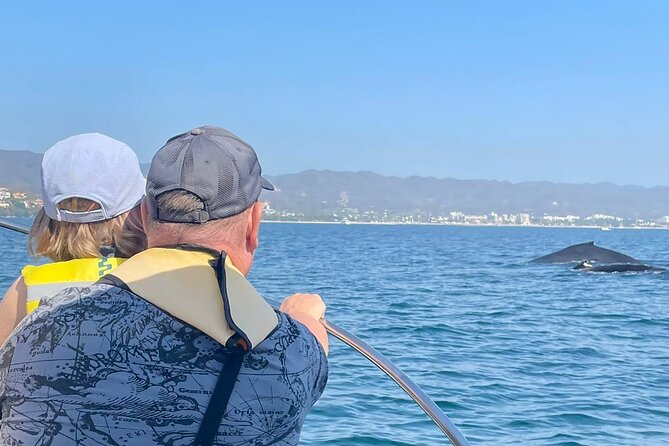 Whale Watching Experience in Puerto Vallarta - A 9:30 am whale watching block in Puerto Vallarta (and why timing matters)