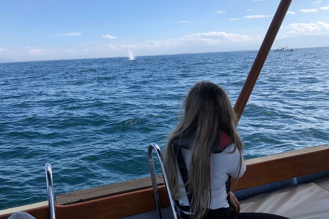 Whale Watching Experience in Puerto Vallarta - Safety and animal respect, not just hype