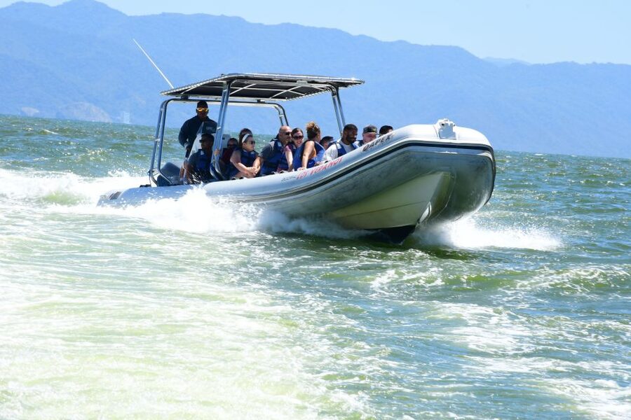Whale Watching Guaranteed Experience in Puerto Vallarta - Entering Whale Watching Mode in Puerto Vallarta’s 3-hour window