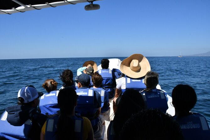 Whale Watching Guaranteed Experience in Puerto Vallarta - Lunch and snacks on a whale watch: why it’s not a throwaway perk