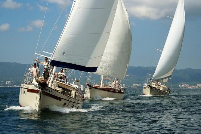 Whale Watching The Best Of Puerto Vallarta - Budget Reality: Price Plus Port Tax and Conservation Fees