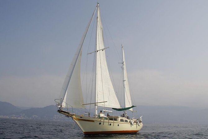 Whale Watching The Best Of Puerto Vallarta - Who Should Book This Whale Watching Trip?