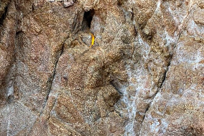 Wixárika Indigenous Blessing: Sacred Walk in the Jungle - Four Sacred Places, Four Moments to Listen