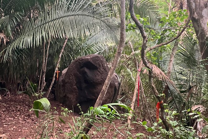 Wixárika Indigenous Blessing: Sacred Walk in the Jungle - Value Check: What $47.82 Actually Covers
