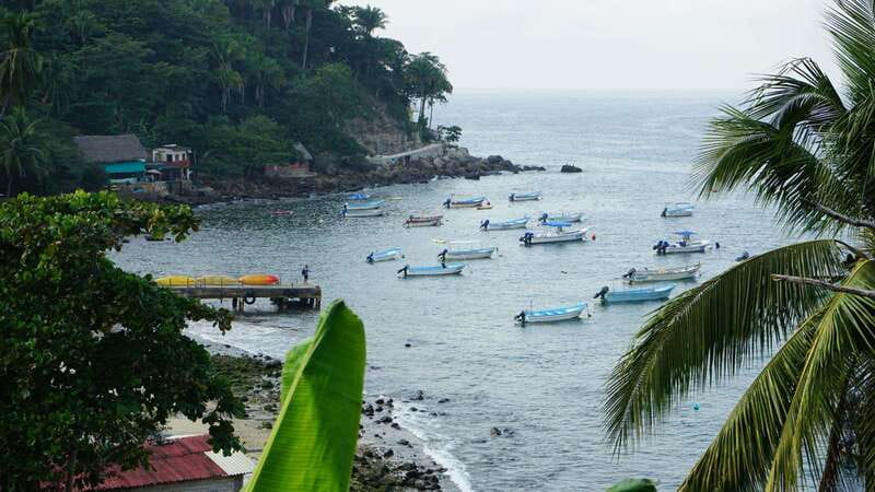 Yelapa: Catamaran Cruise with Lunch and Open Bar - Return trip to Puerto Vallarta: shows, contests, and whale-spotting vibes