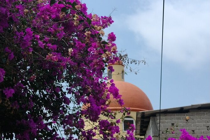Yelapa escape - The Local Bus to Boca de Tomatlán: Seeing the Route Like a Local