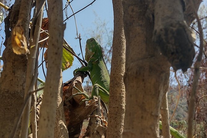 Yelapa escape - Wandering Yelapa Streets With a Guide Who Keeps It Practical