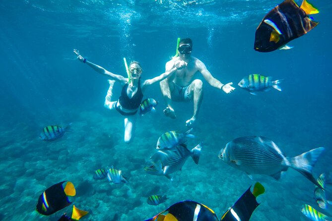 Yelapa Waterfall, BBQ at Exclusive Majahuitas Beach & Open bar - Majahuitas Beach Club: snorkeling and kayaking, then BBQ on repeat