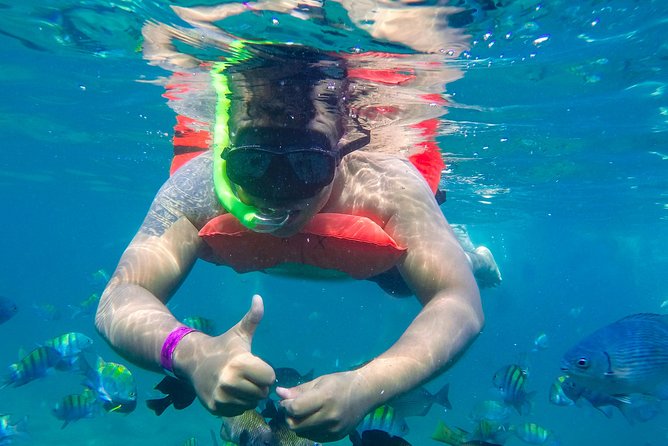 Yelapa Waterfall, BBQ at Exclusive Majahuitas Beach & Open bar - Who should book this, and who should skip it